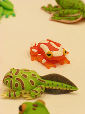 WF2009-summer-143.jpg