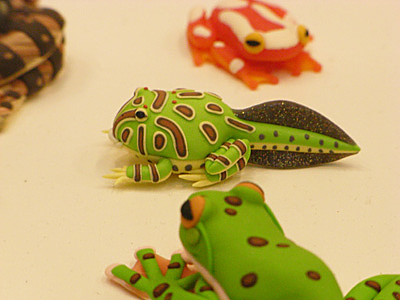 WF2009-summer-144.jpg