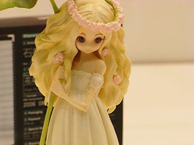WF2009-summer-150.jpg