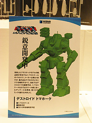 WF2009-summer-244.jpg