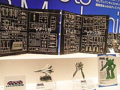 WF2009-summer-247.jpg