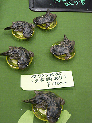 WF2010-summer-032.jpg