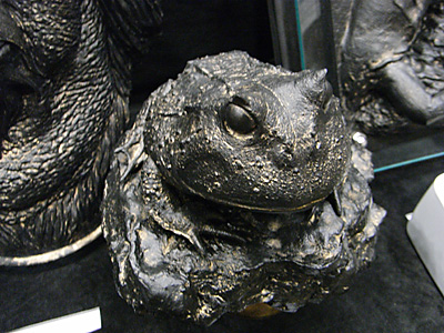 WF2010-summer-038.jpg