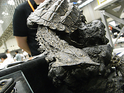 WF2010-summer-041.jpg