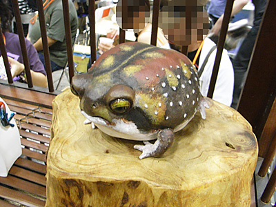 WF2010-summer-050.jpg