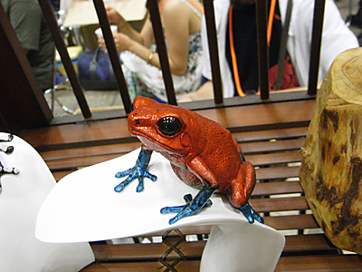 WF2010-summer-051.jpg