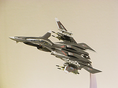 WF2010-summer-065.jpg