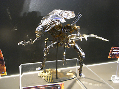 WF2010-summer-073.jpg