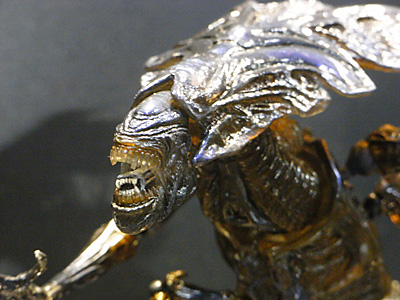 WF2010-summer-074.jpg