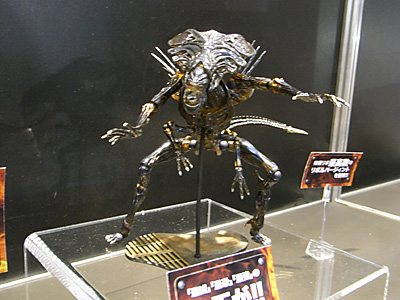WF2010-summer-075.jpg