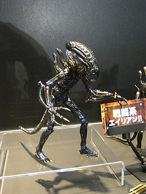 WF2010-summer-076.jpg