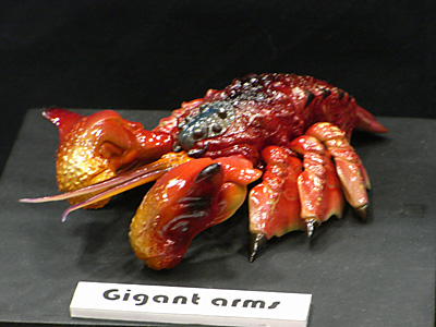 WF2010-winter-053.jpg