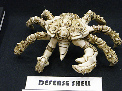 WF2010-winter-054.jpg