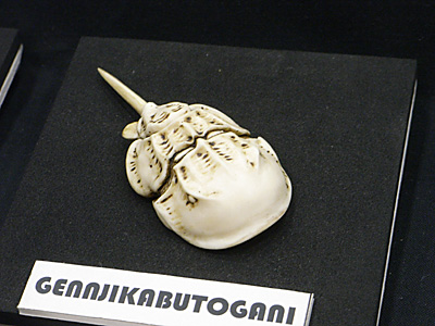 WF2010-winter-055.jpg