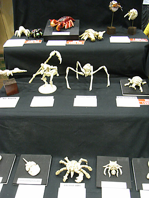 WF2010-winter-056.jpg