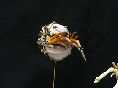 WF2010-winter-057.jpg