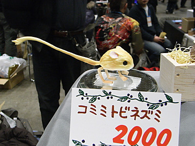 WF2010-winter-061.jpg