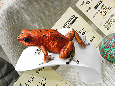 WF2010-winter-138.jpg