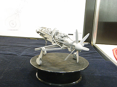 WF2010-winter-209.jpg