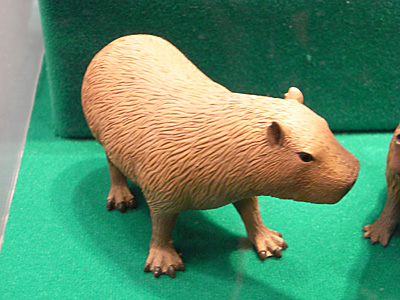 WF2010-winter-218.jpg