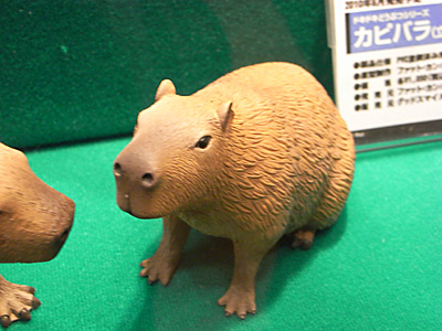 WF2010-winter-219.jpg
