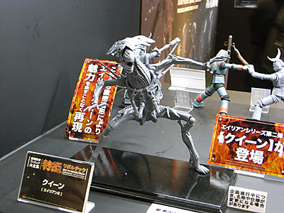 WF2010-winter-245.jpg