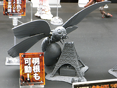 WF2010-winter-249.jpg
