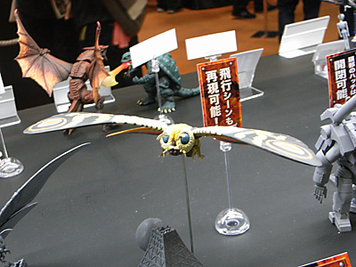 WF2010-winter-250.jpg