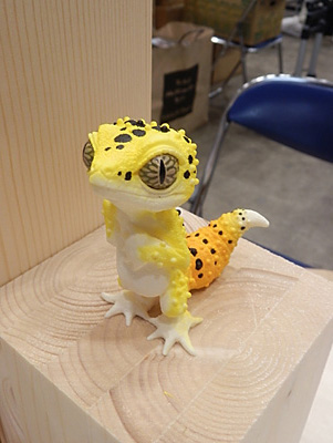 WF2011-summer-031.jpg