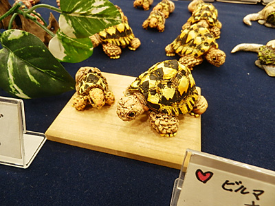 WF2011-summer-059.jpg