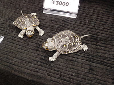 WF2011-summer-083.jpg