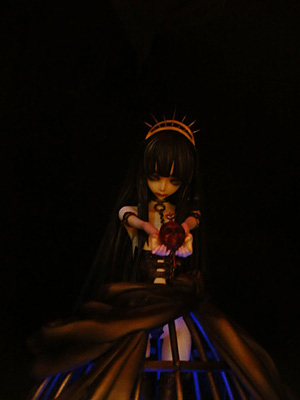 WF2011-summer-131.jpg