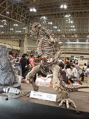 WF2011-summer-141.jpg