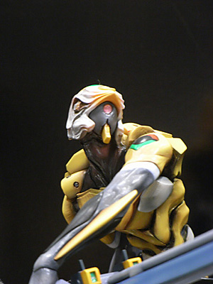WF2011-summer-257.jpg