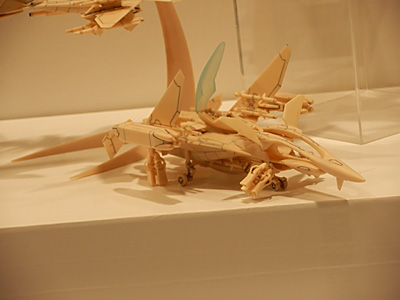 WF2011-summer-482.jpg