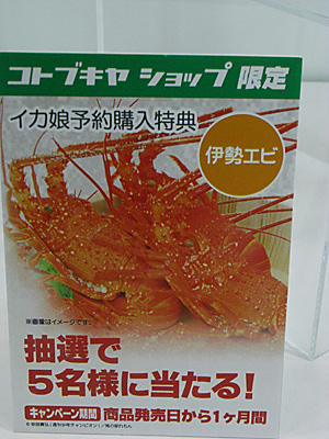 WF2011-summer-537.jpg