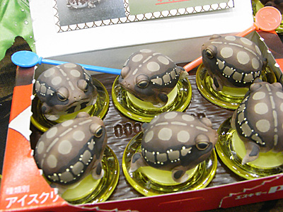 WF2011-winter-004.jpg