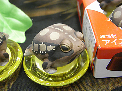 WF2011-winter-005.jpg