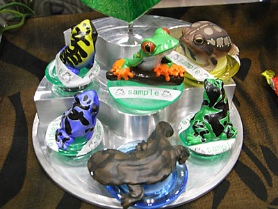 WF2011-winter-007.jpg