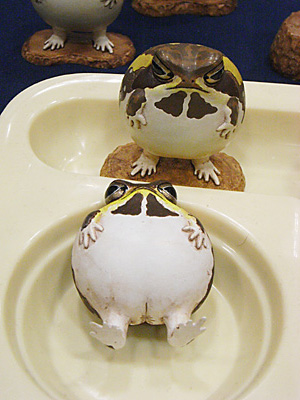 WF2011-winter-107.jpg
