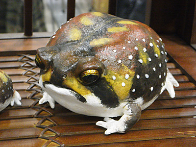 WF2011-winter-110.jpg