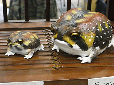 WF2011-winter-111.jpg
