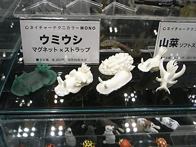 WF2011-winter-197.jpg