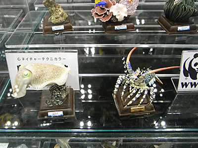 WF2011-winter-199.jpg