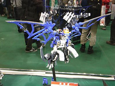 WF2011-winter-226.jpg
