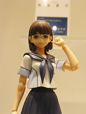 WF2011-winter-256.jpg