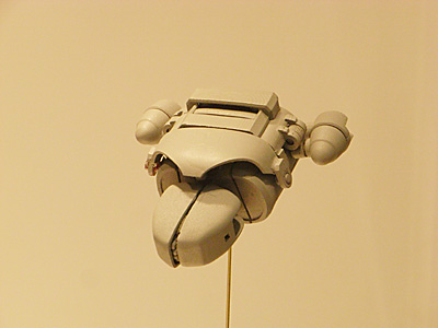 WF2011-winter-280.jpg
