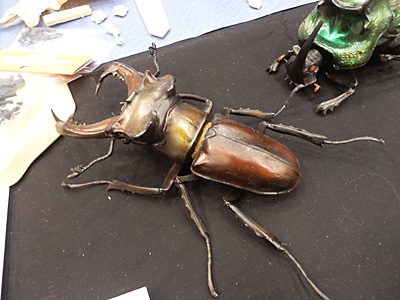 WF2012-summer-085.jpg