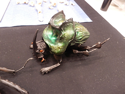 WF2012-summer-086.jpg