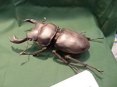 WF2012-summer-087.jpg